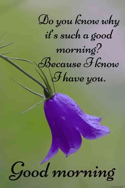 good morning sms with love