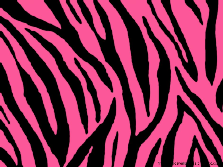 Zebra Backgrounds | Free Best Hd Wallpapers