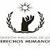 LLAMA CNDH A LAS AUTORIDADES A BRINDAR ATENCIÓN A VÍCTIMAS Y PERSONAS DAMNIFICADAS CON PERSPECTIVA DE DERECHOS HUMANOS