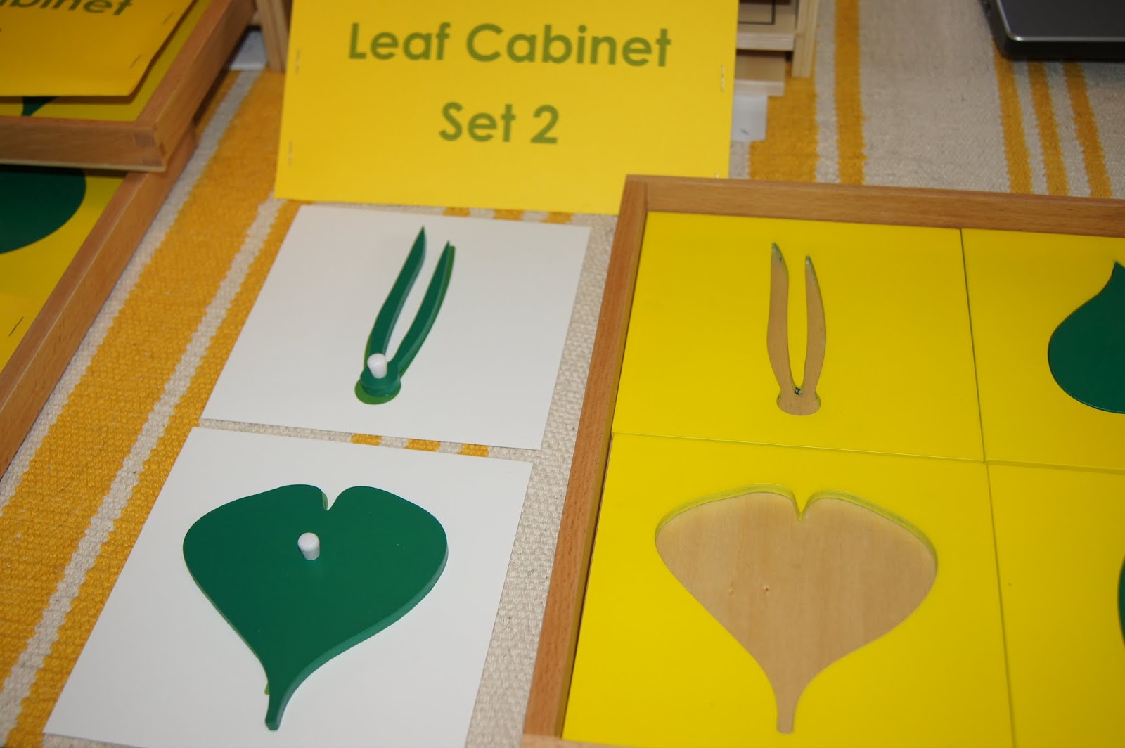 Montessori Leaf Montessori Botany At Home Part 2 "Making
