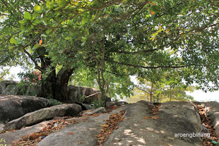 pantai tanjung tinggi belitung
