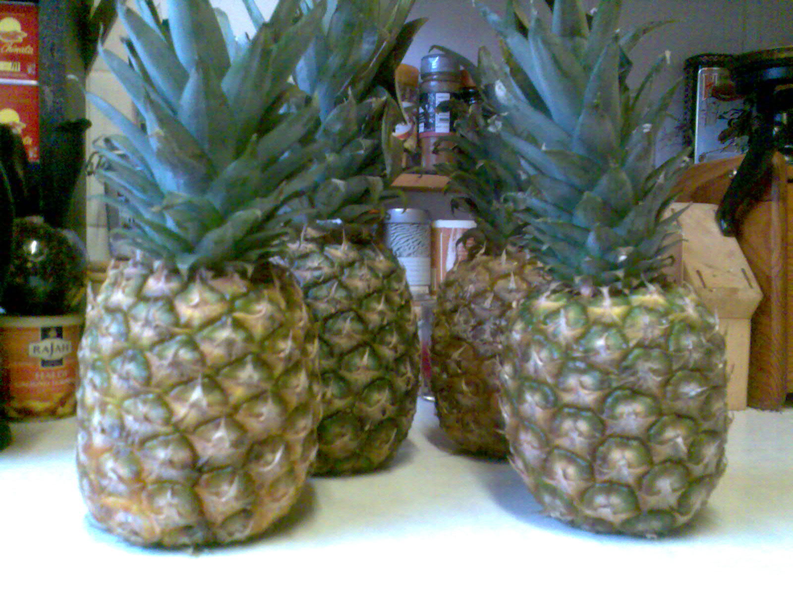 Ben's Adventures in Wine Making Pineapple Wine The Making Of