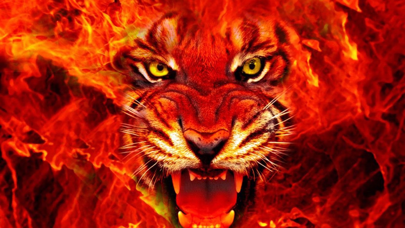 Hình nền sư tử đẹp nhất cho máy tính  Lion mane Lion king poster Lion