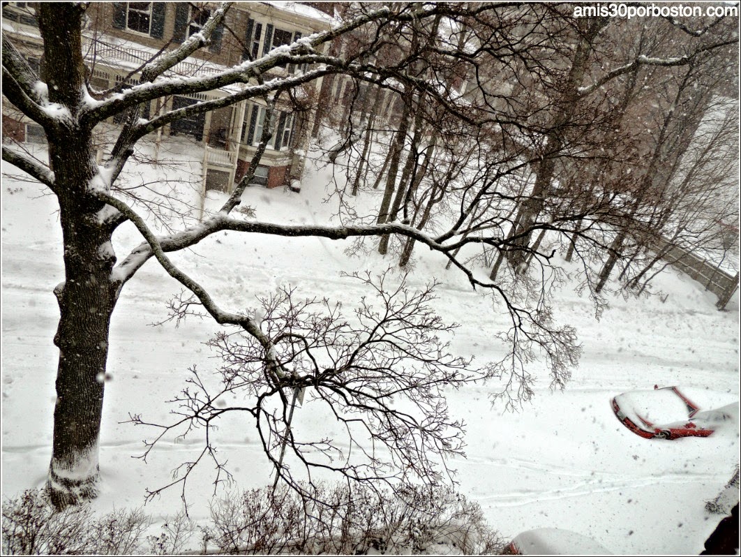 Juno: La primera Snow Emergency del 2015 en Cambridge
