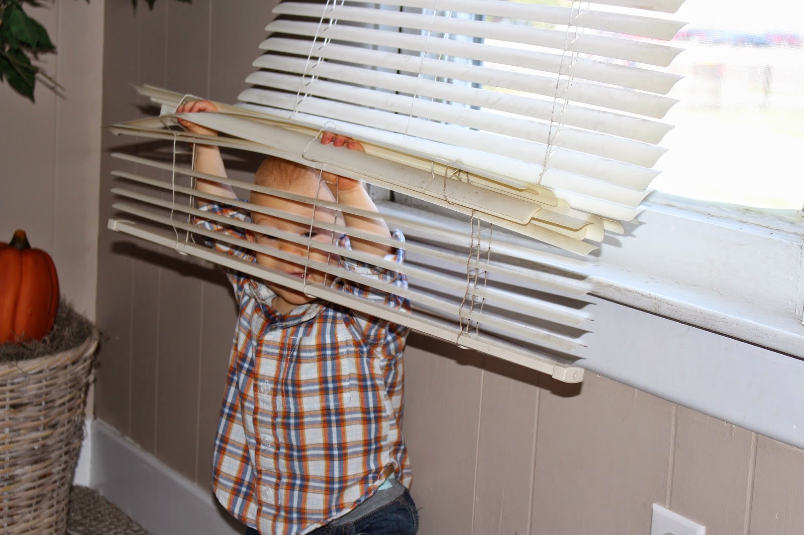 Life is Goode I have a silly baby with an orange nose.