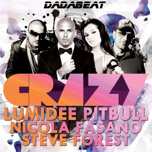Lumidee feat. Pitbull vs. Nicola Fasano & Steve Forest - Crazy (Stereo Palma Mix)