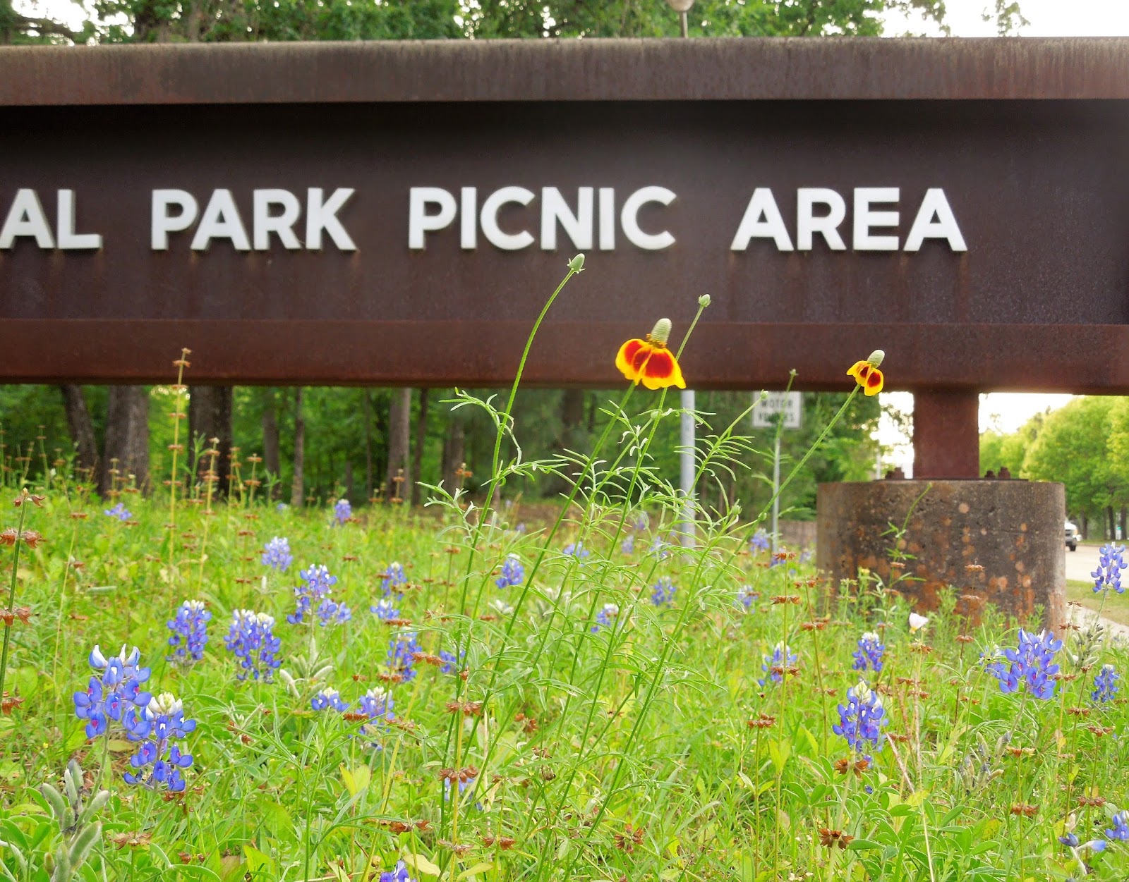 Houston Parks in Pics Memorial Park Picnic Area