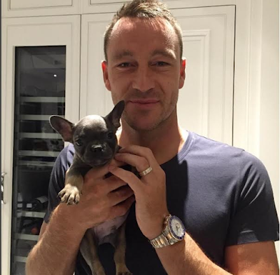 0 Chelsea captain John Terry welcomes new French bull dog to his family, names it after Chelsea (photos)