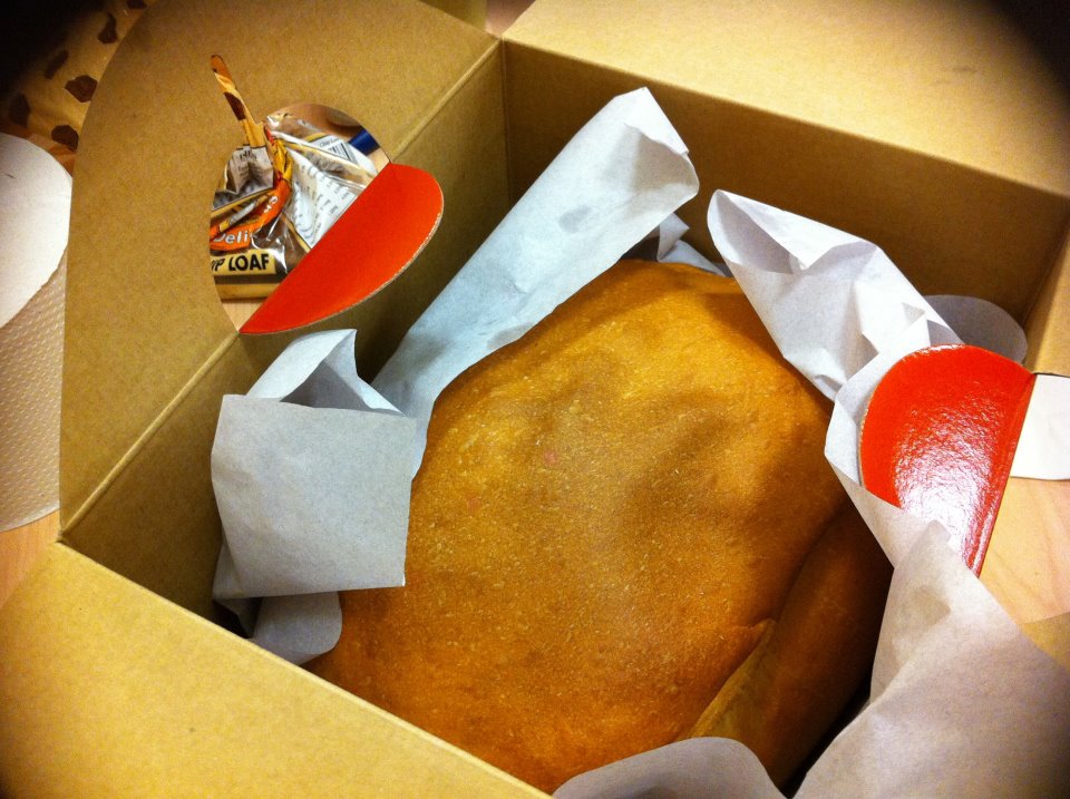 Salivate Golden Pillow 933