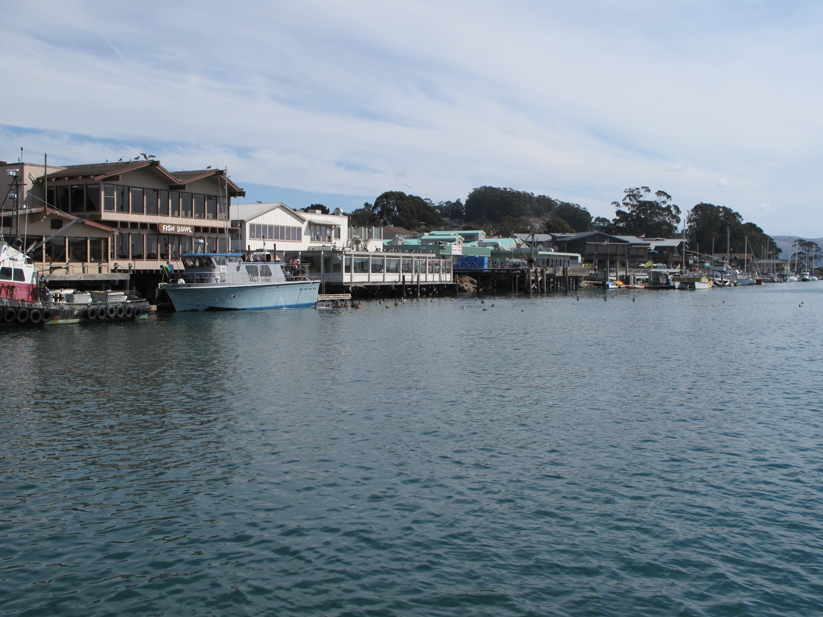 Three Hour Tour Morro Bay to Cojo Anchorage