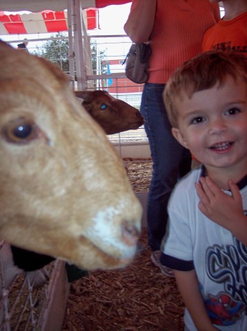Autism Art Project: Autism Devotion: Speaking to Animals