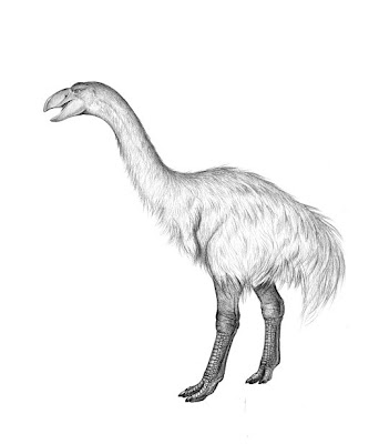 australia prehistorica Dromornis