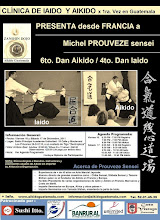 Afiche 8vo. Seminario Zanshin Dojo Aikido Guatemala