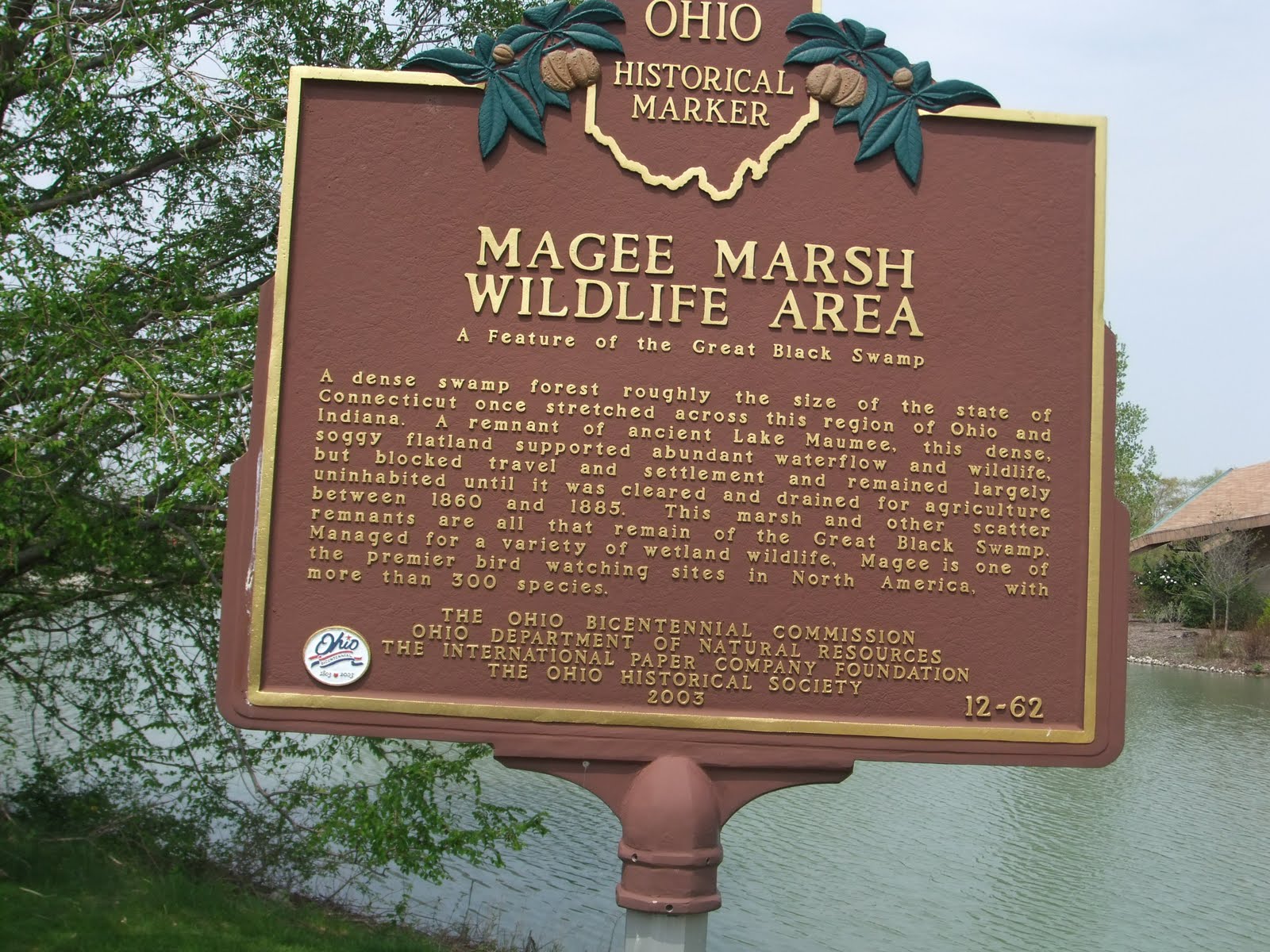 Pauline Persing Art, Writing,& Natural History: Biggest Week in