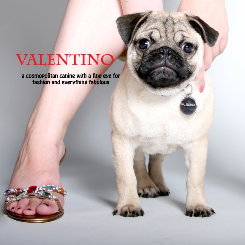 A Blog For Trends, Store Windows & Interiors: VALENTINO'S LOVE PUGS by Mike Kagee