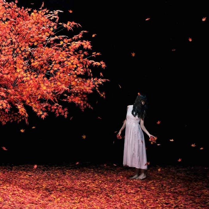 Aimer Stars In The Rain Lyrics English Amp Indonesian Translations