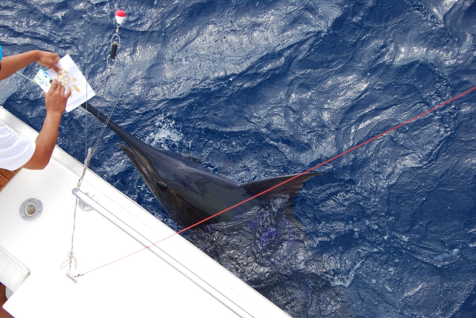 Tabla Cepilladora De Pesca, Cepilladora Lateral, Izquierda | Envío Gratis