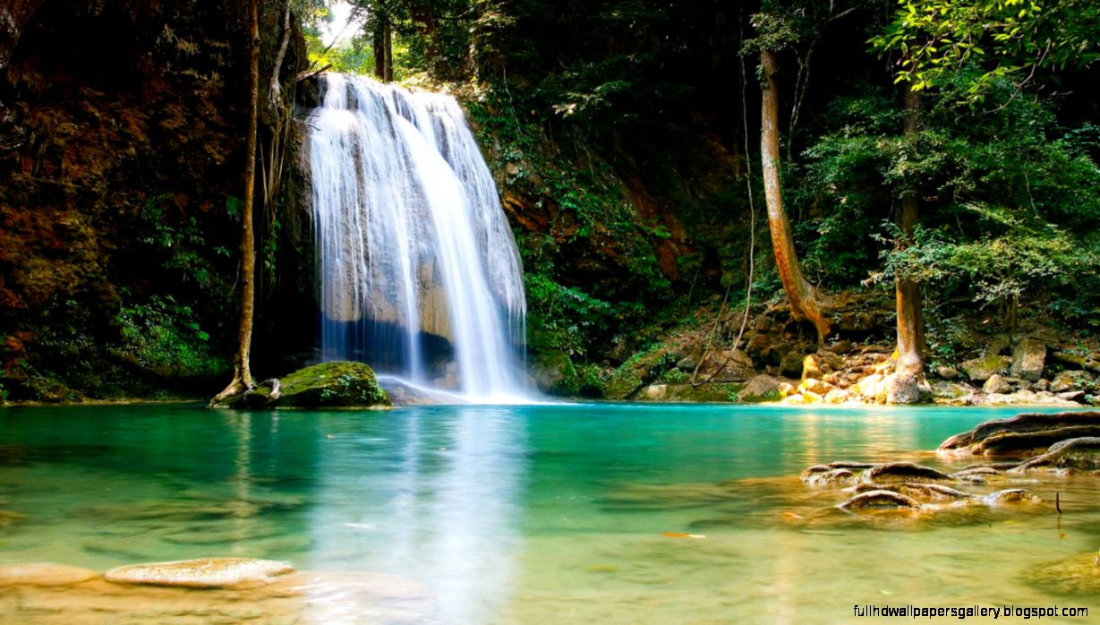 Wallpapers Thundercats Warrior Cats Widescreen Eu Small Waterfall