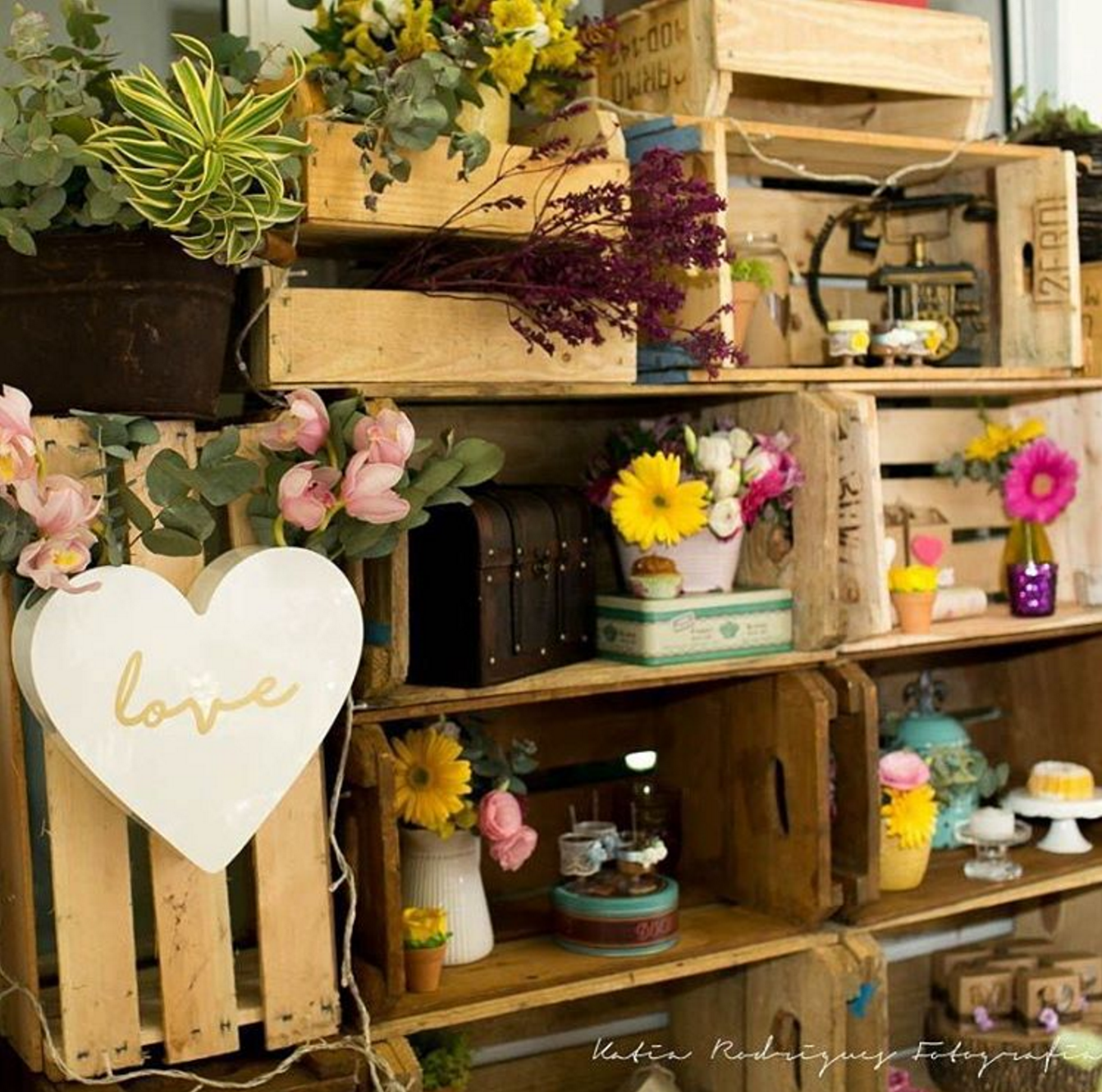 Las plantas siempre son el complemento en la decoración que le da