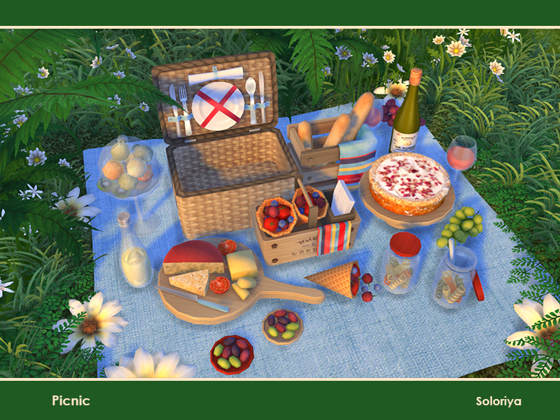 soloriya Picnic. Sims 4
