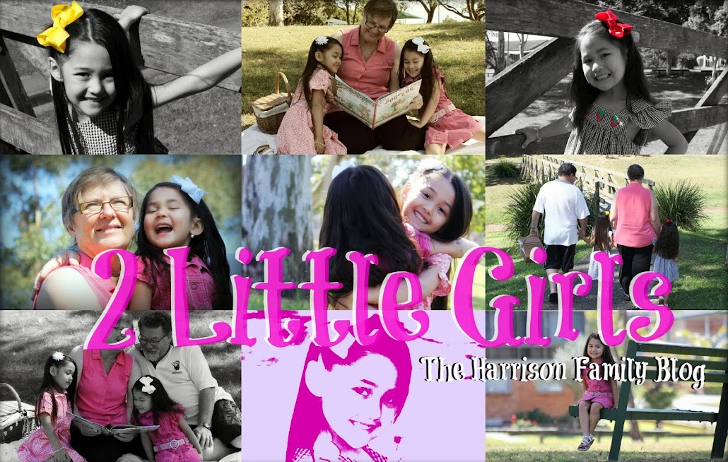 2 Little Girls - The Harrison Family Blog