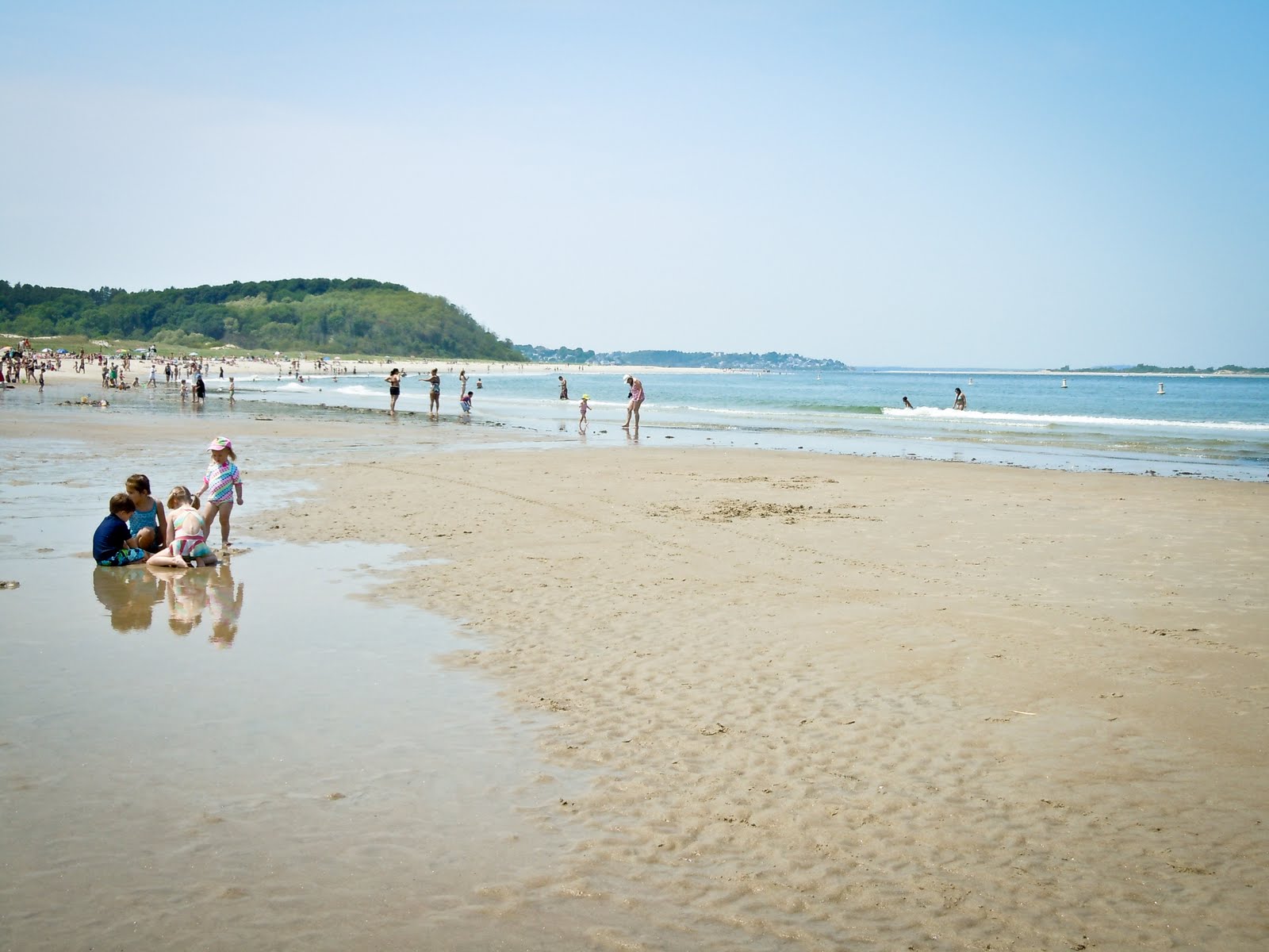 The Adventures of Indigo and the Chicken Crane Beach, Ipswich, MA