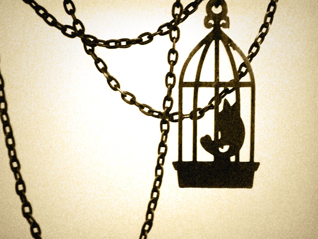 of poetry the caged bird the caged bird i know why the caged bird sings