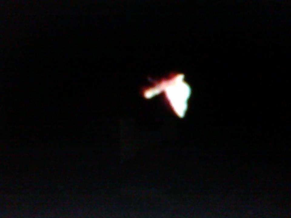 Atencion-19-enero-2012...mariposa E-OVNI-de -espaldas-vuela-SEC-UFO...