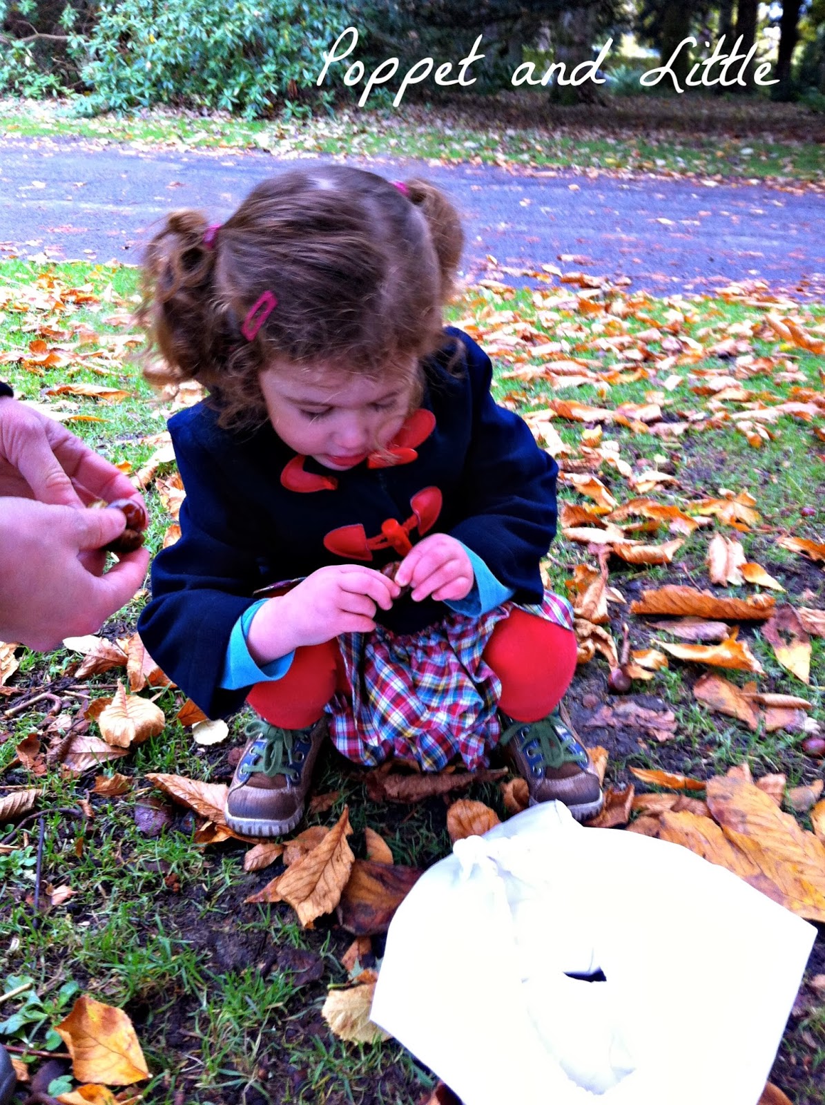 Poppet and Little: Collecting Autumn Treasures