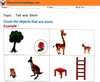 Tall and short worksheet
