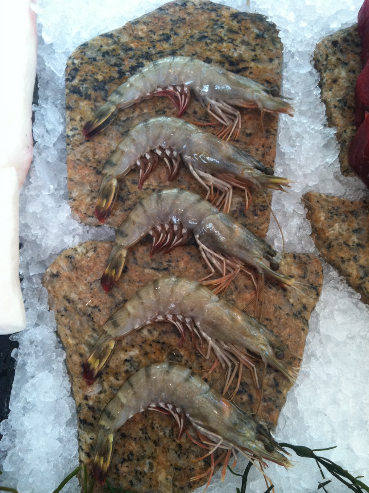 The Edible Ocean The Exception(al) Farmed Shrimp