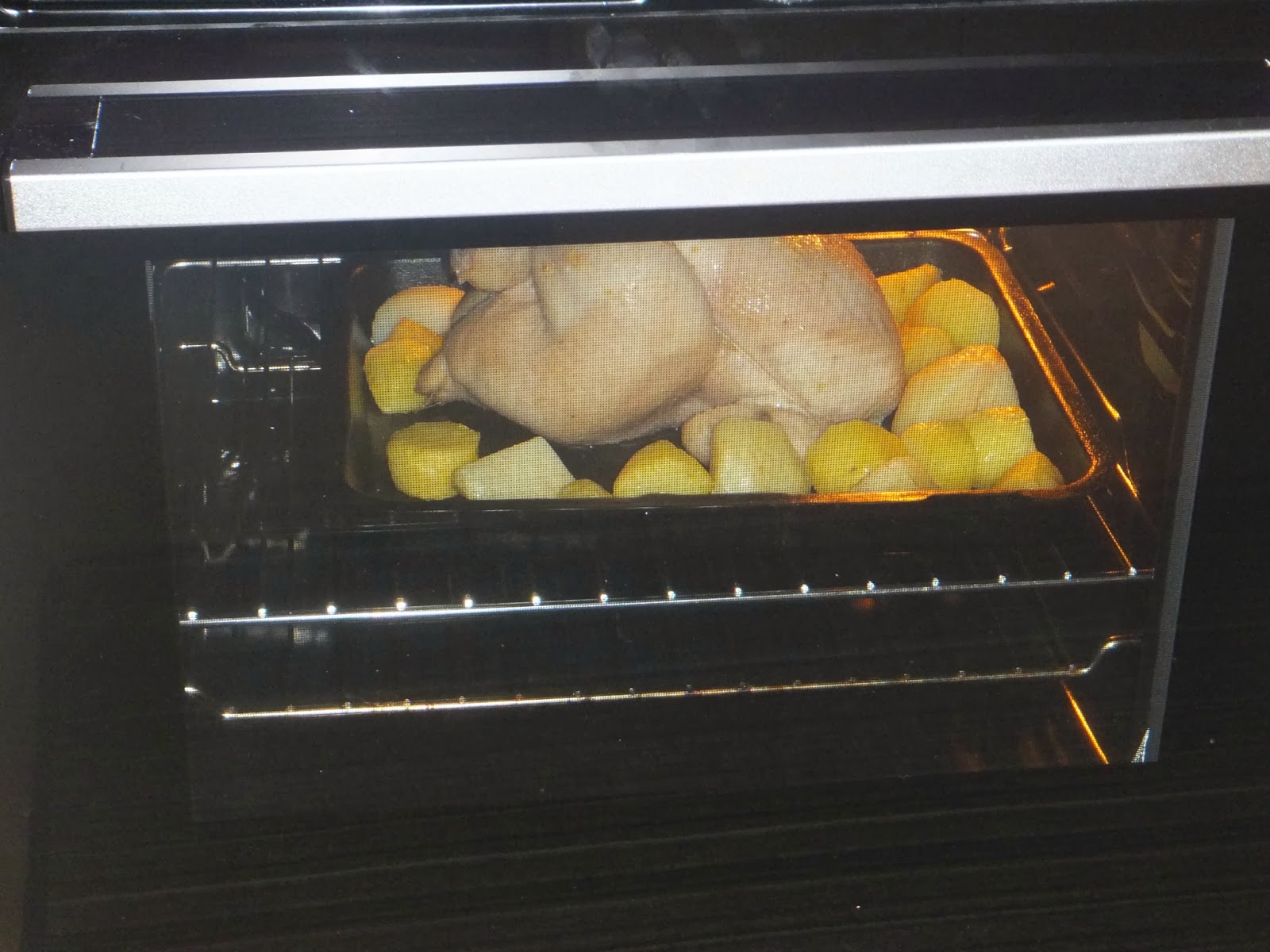 Fun as a Gran Indesit FIM31KABK fan oven a review