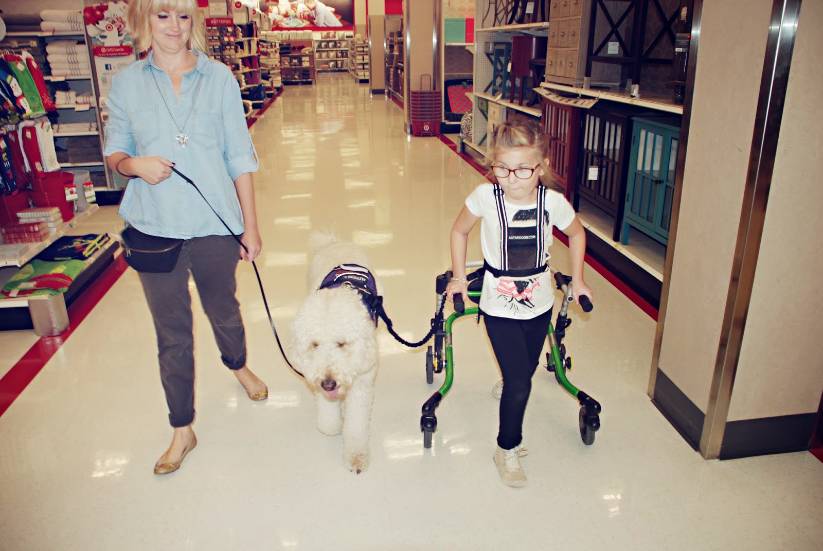Anxiety Service Dog For Anxiety