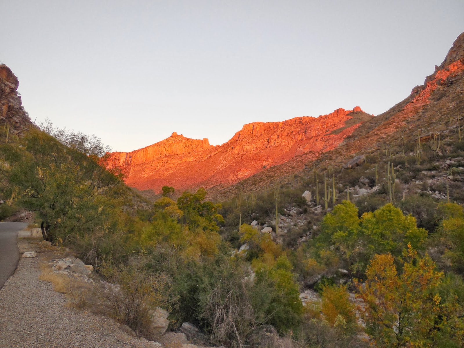 Exploring the American West Sabino Canyon Sabino Canyon Recreation