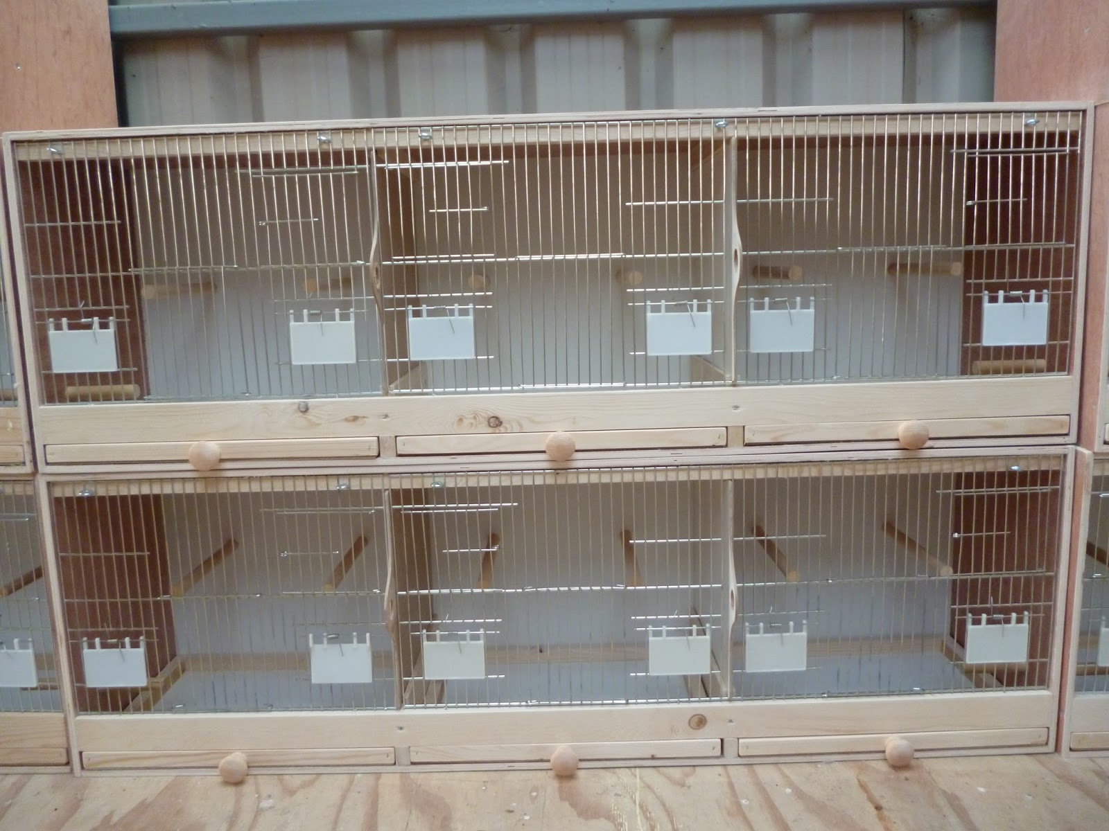 Zebra Finches Cage Models Hand Made Birds Breeding