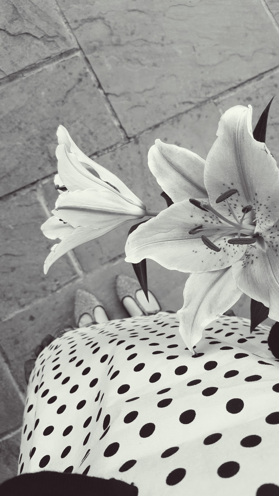 Going Dotty On International Dot Day With 15 Outfits Posts Going Dotty On International Dot Day