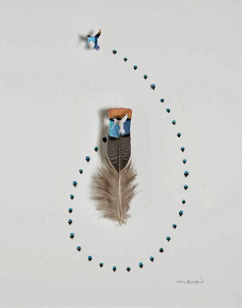 Feather Art by Chris Maynard
