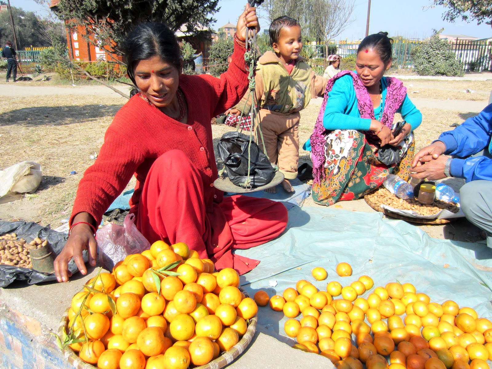 Lists of most common fruits of Nepal (NepaliEnglish)