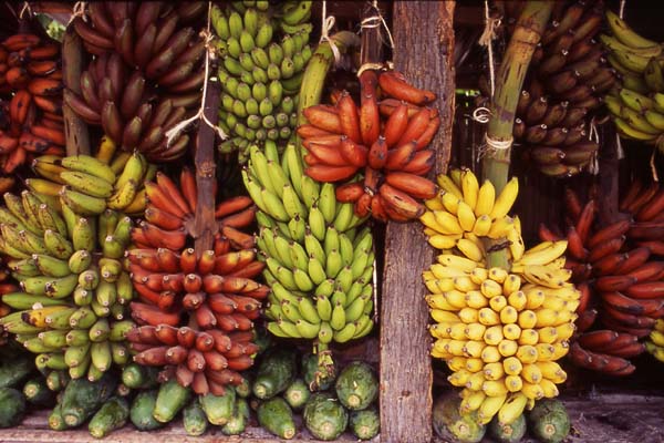 Delusions of Grandeur: Where did you get that banana?