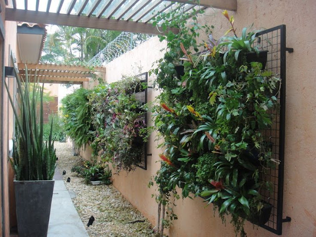 30 Hanging and wall garden ideas for your decor - Diy Fun World