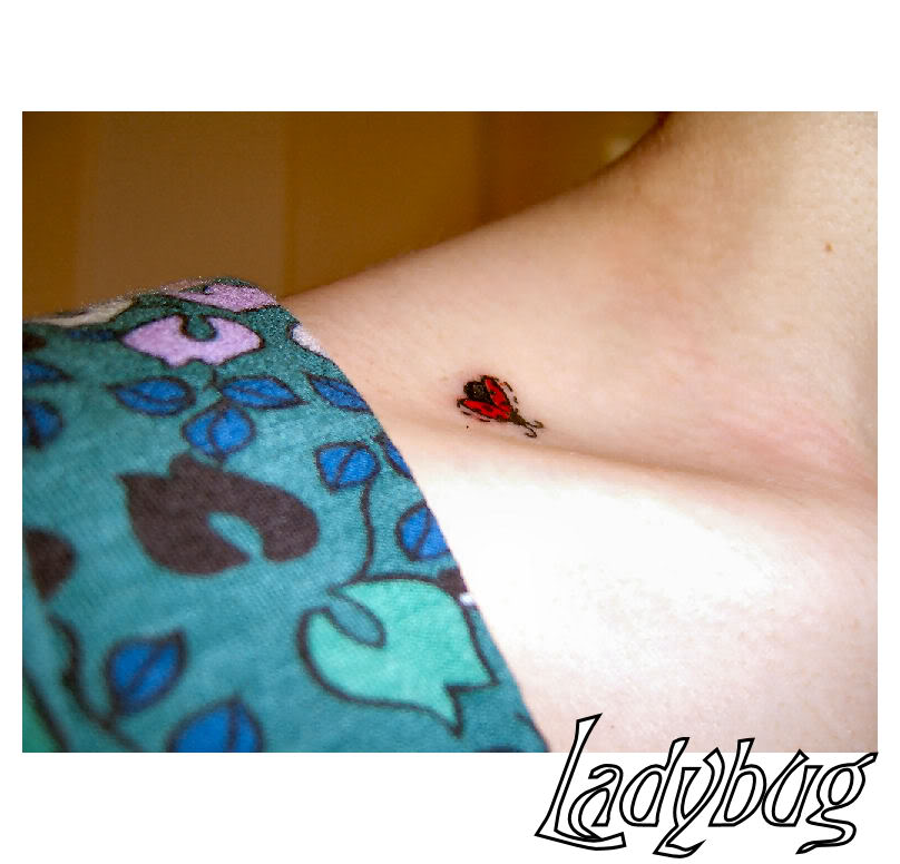 Ladybug Tattoo - The Tattoo Designs