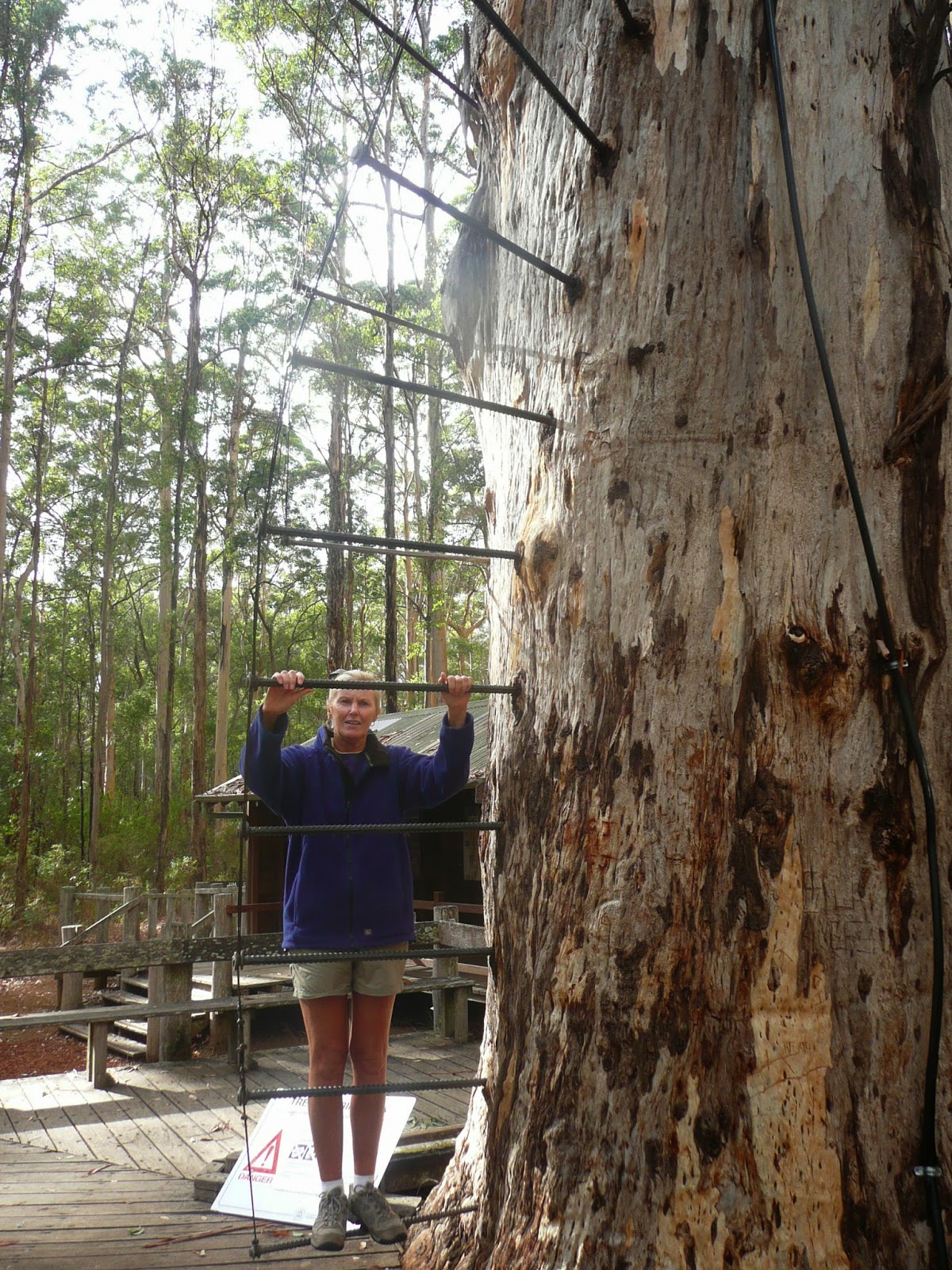 MobileMarshies: MANJIMUP 3 - PEMBERTON, POINT D'ENTRECASTEAUX AND MORE ...