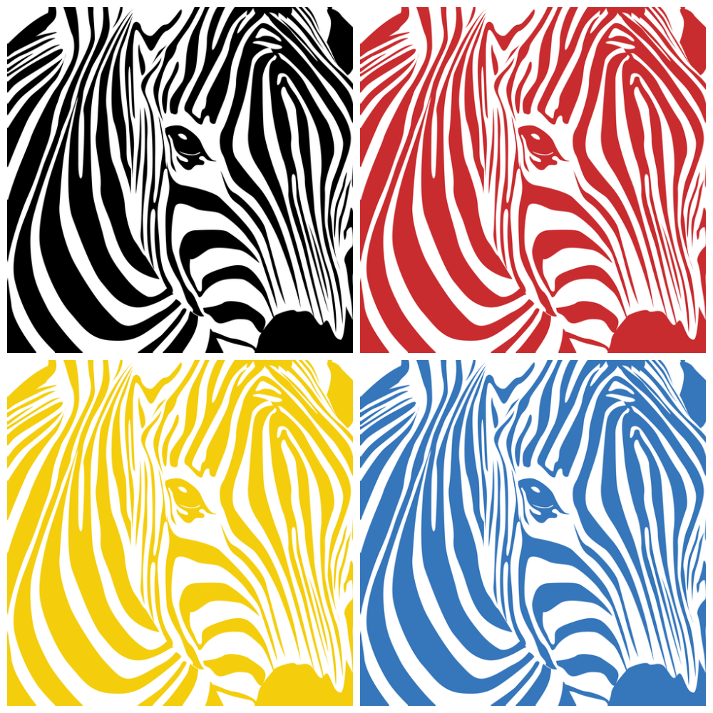 Details by Enda Zebra Deseni / Zebra Pattern