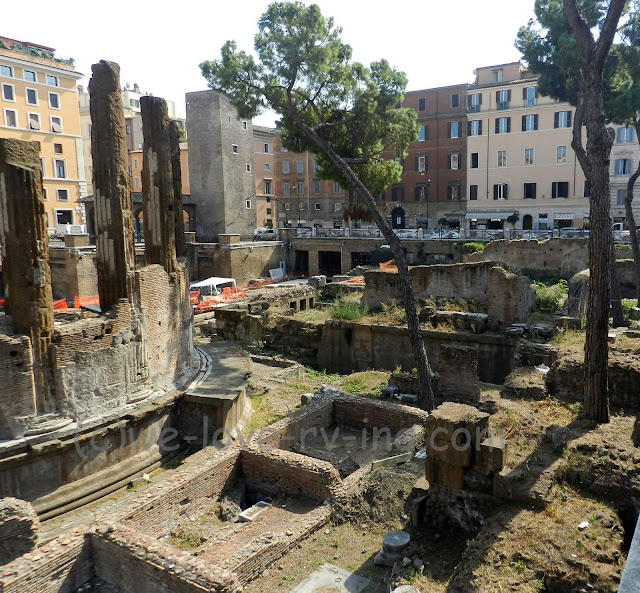 The ruins of the Largo de Torre Argentina is also home of the cat sanctuary