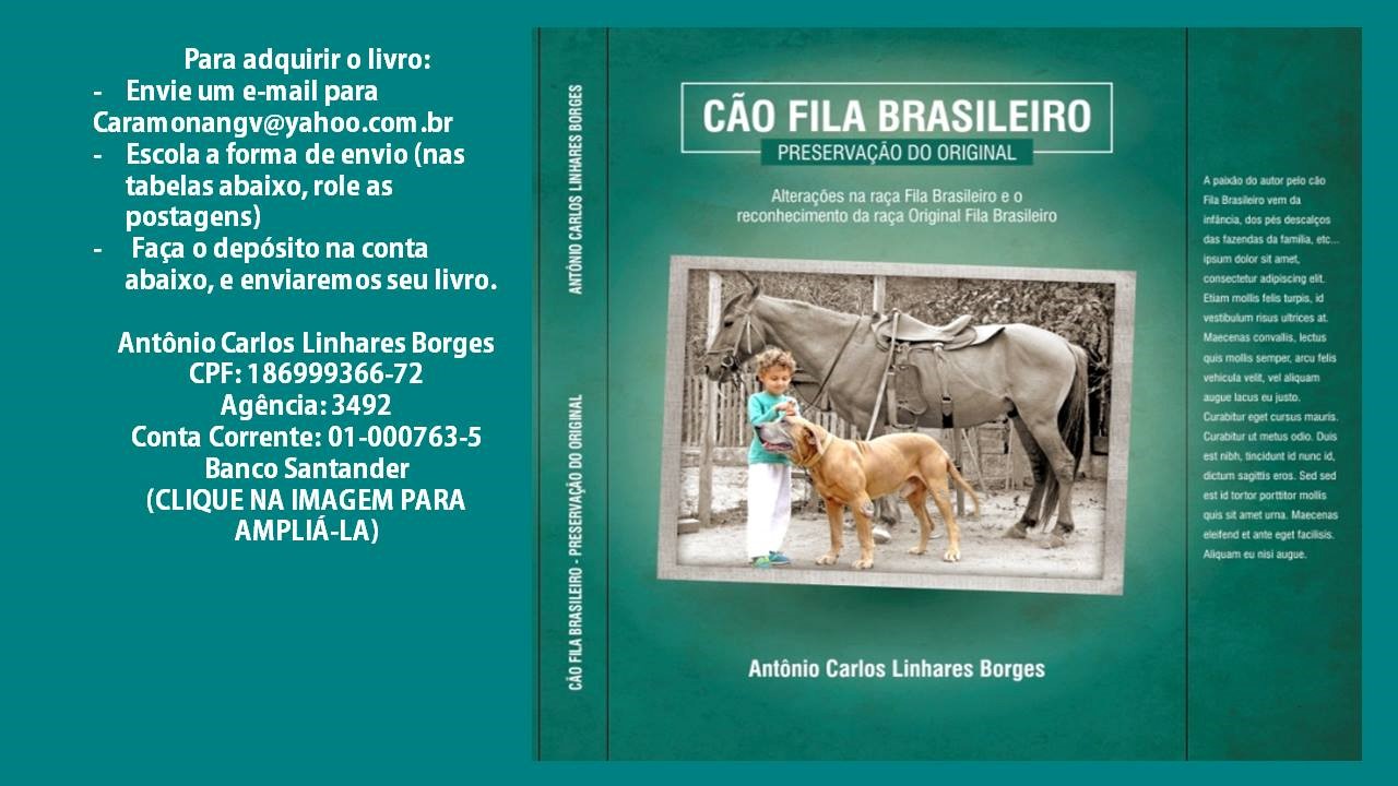 Original Fila Brasileiro: Tópico 15: Alterações na morfologia do cão Fila  Brasileiro ao longo do tempo - As Orelhas.