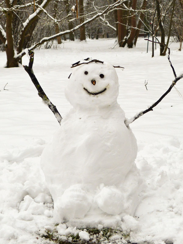 Im Garten Steht Ein Schneemann