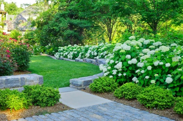 Ideas for garden design for beginner