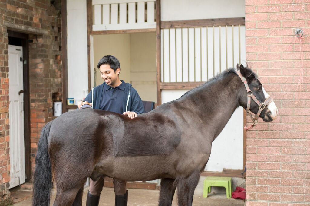 Looking after horses over winter