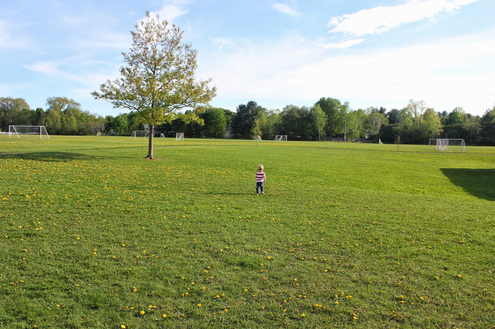 Treasuring Simplicity Shelburne Park