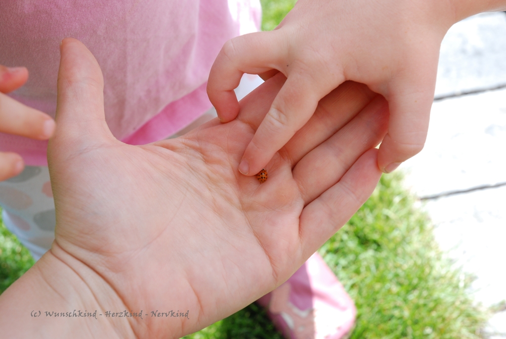 Wunschkind Herzkind Nervkind Unser Montessori Inspirierter